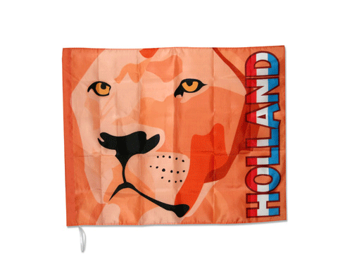 Oranje fan vlaggen met leeuw