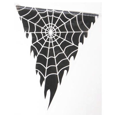 Vlaggenlijn spinnenweb