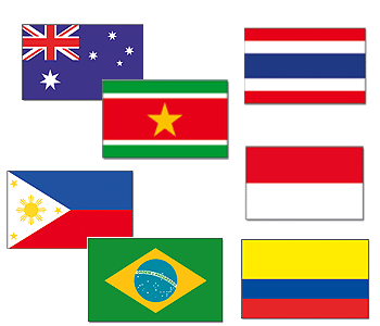 Tropisch feest dekoratie vlaggen
