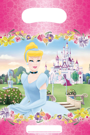 Disney uitdeelzakjes prinsessen